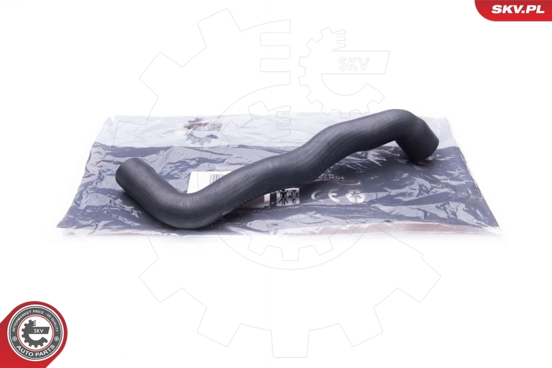 Radiator Hose